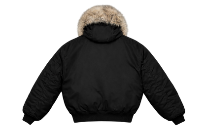 Winter Coat